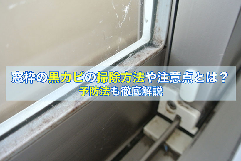 窓枠の黒カビの掃除方法や注意点とは？予防法も徹底解説